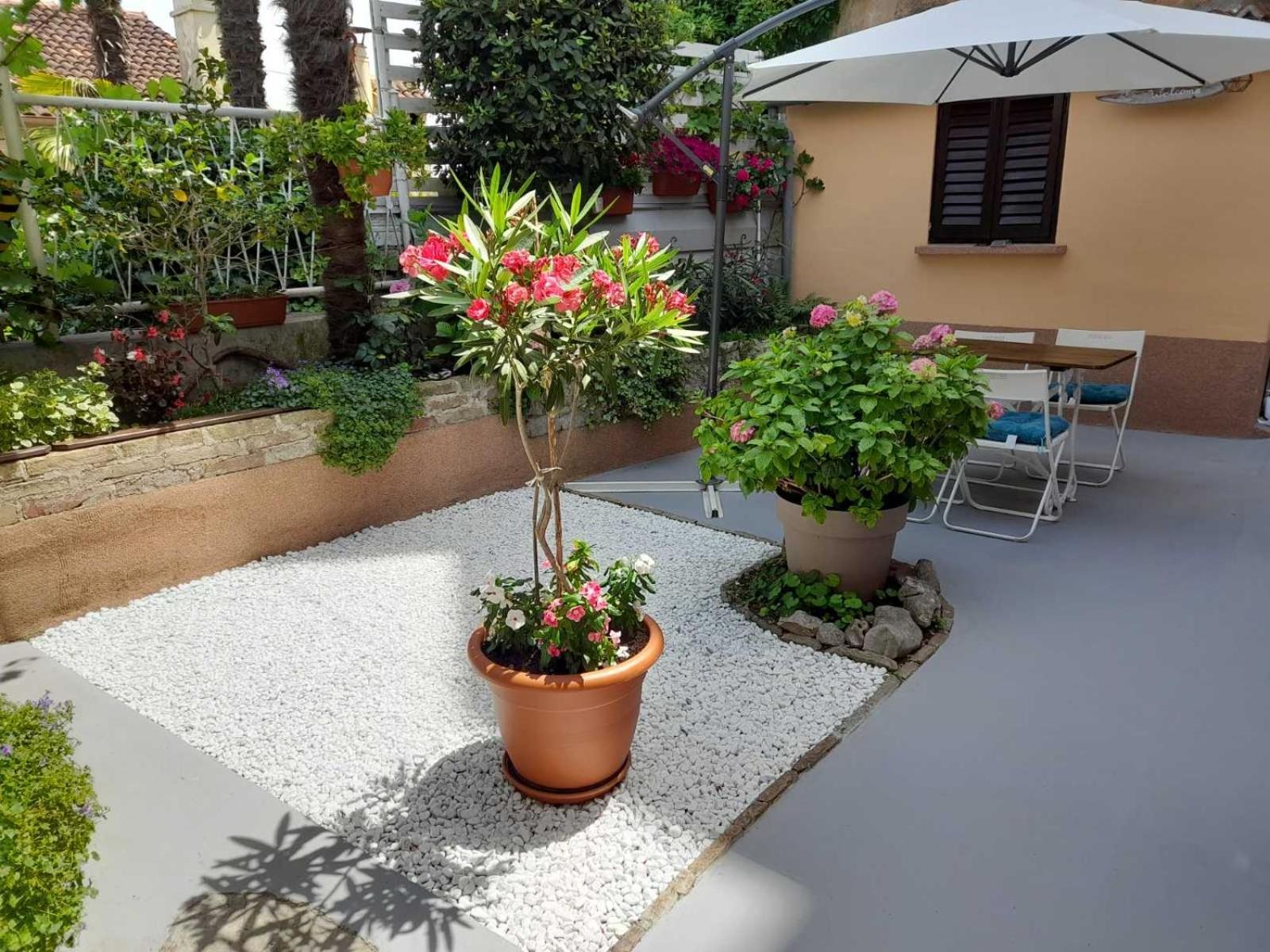 Krizanec Apartmán